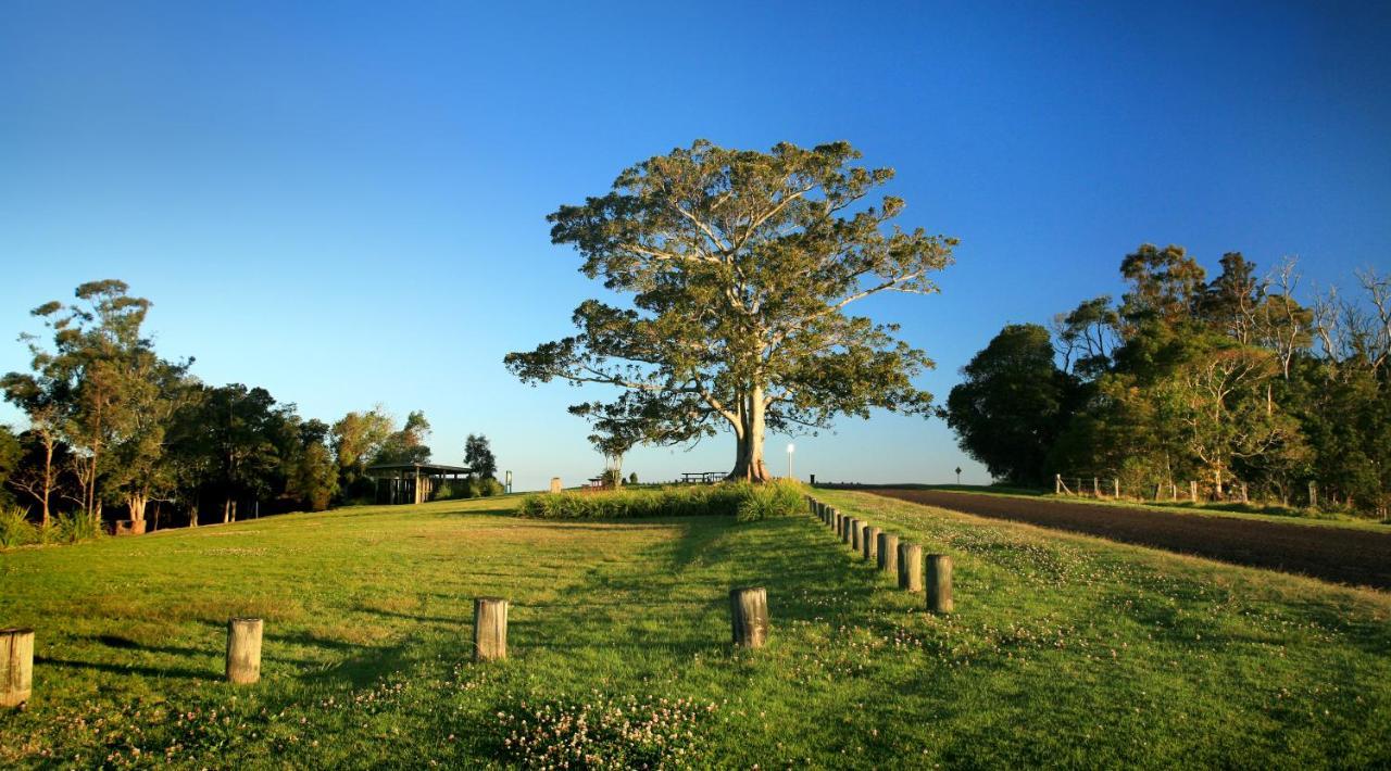 Oaks Toowoomba Hotel エクステリア 写真
